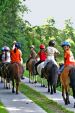 Photo Cheval-Genial_Enfants12_Photo-FFE-DL.jpg
