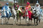 Photo Cheval-Genial_Sport9-Carrousel_Photo-FFE-PSV.jpg
