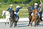 Photo HORSE BALL.jpg