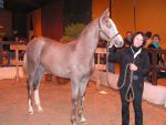 Photo REMISE DES PRIX 2.jpg